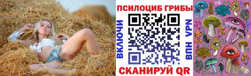 Галлюциногенные грибы Psilocybe  Добрянка 